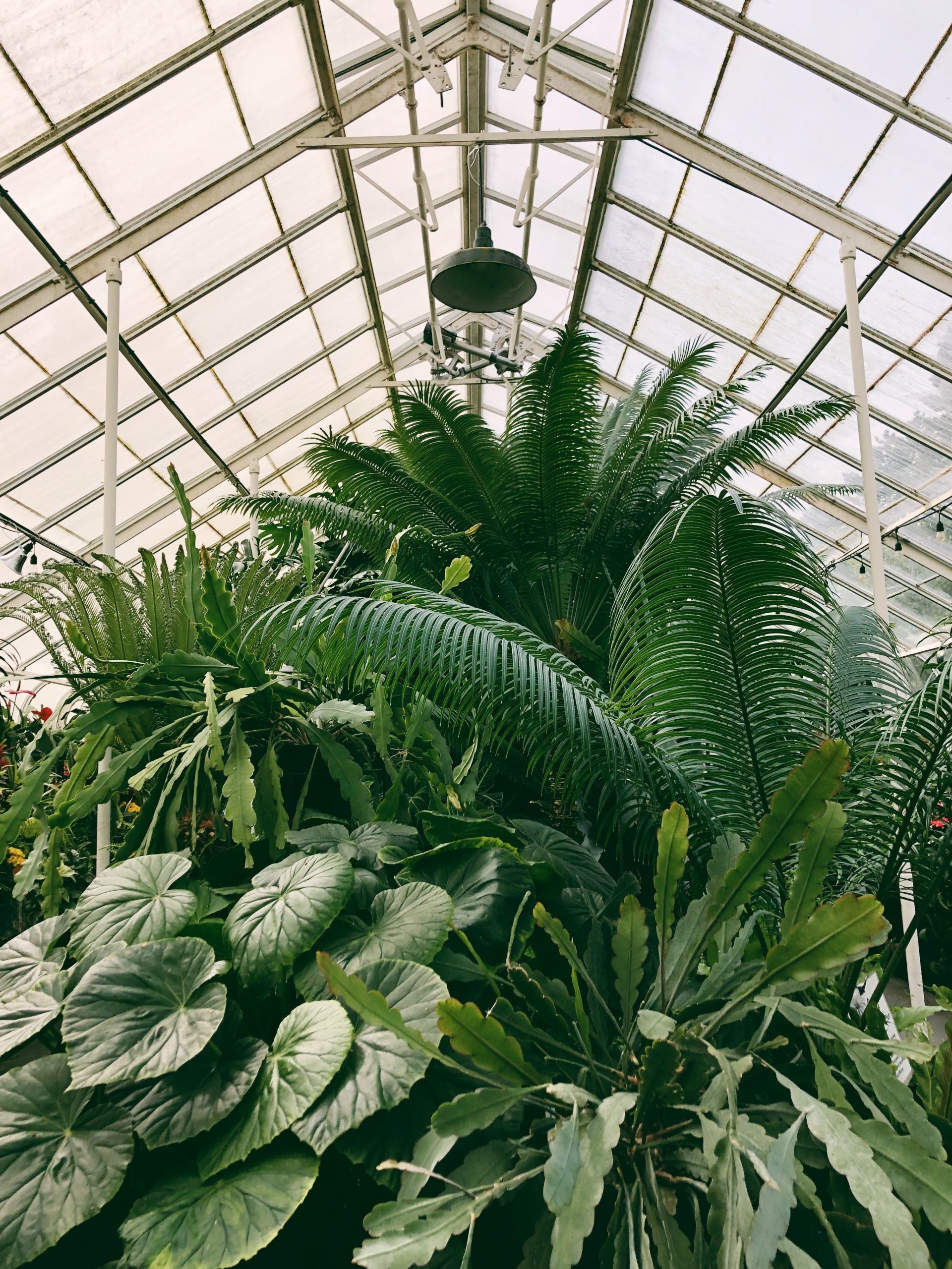 ABOUT - All Seasons Garden Center