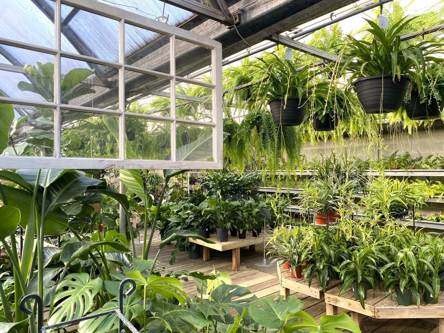 GREENHOUSE - All Seasons Garden Center