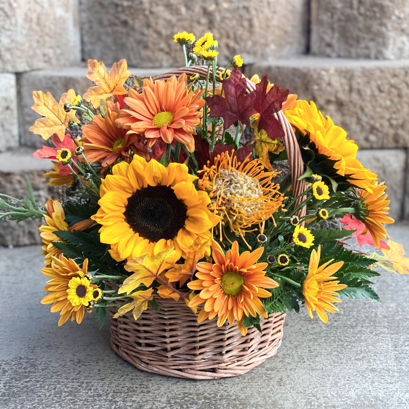 Autumn Bloom