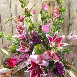 Soft Petals of Peace