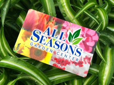 giftcard_houseplant 1