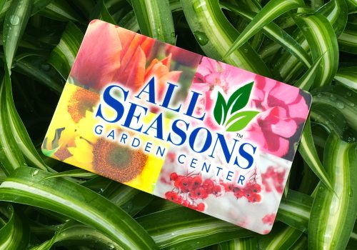 giftcard_houseplant 1