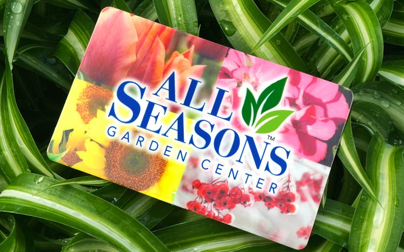 giftcard_houseplant 1