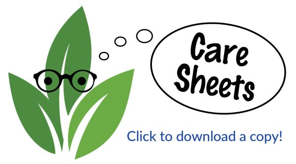 leaf_guy_care_sheets