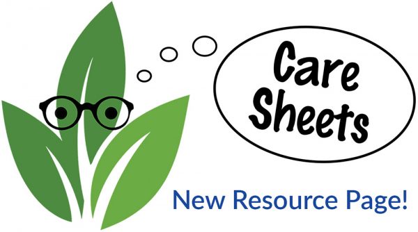 leaf_guy_new_resource